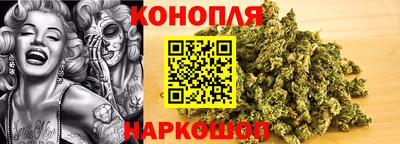 гидропоника Бийск